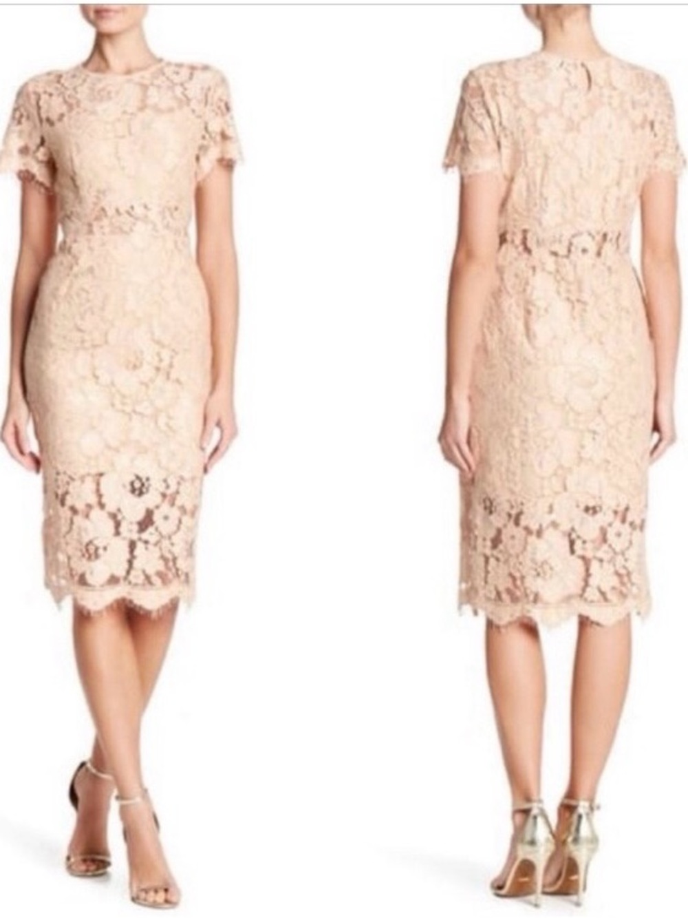 NSR Nordstrom Beige
Tan Floral Lace Short 
Sleeve Sheath Midi Dress NWT Size L